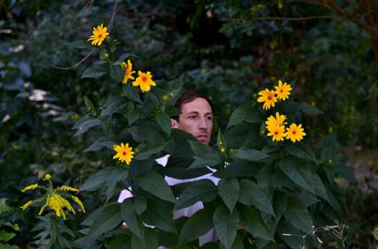 Escucha Anton de She’s Drunk