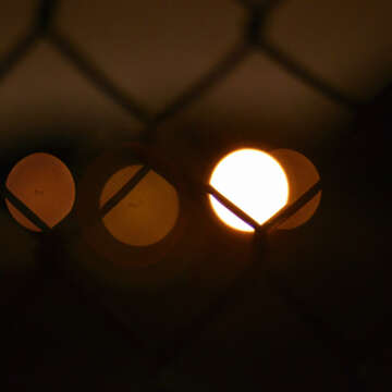 Type re-edita el clásico álbum Dub Techno de Fluxion: “Vibrant Forms”...