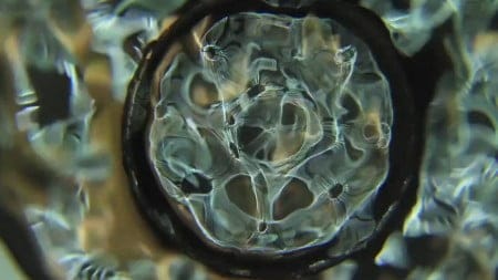 Video: SONIC WATER. Estudios de sonidos y vibraciones visibles ( IMPRESIONANTE )
