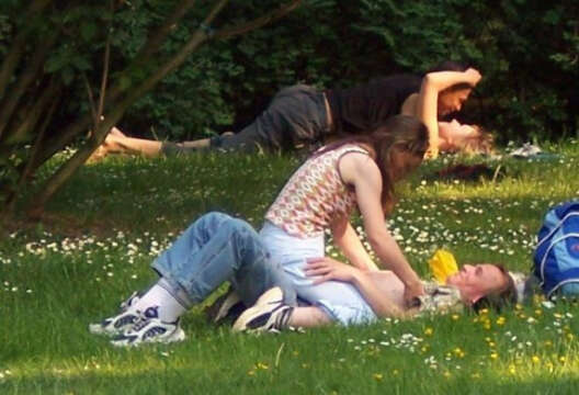 Rastrojear en HOLANDA: Ahora es Legal tener Sexo en los parques .