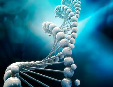 Crean un nuevo tipo de ADN sin base en la naturaleza