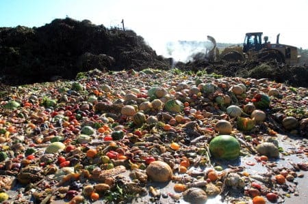 El inmenso impacto de la cantidad de alimentos desperdiciados en el mundo y consejos para ayudar