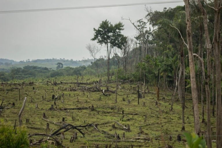 Descubre los cinco desafíos ambientales que quedaron pendientes para este 2021 en Colombia