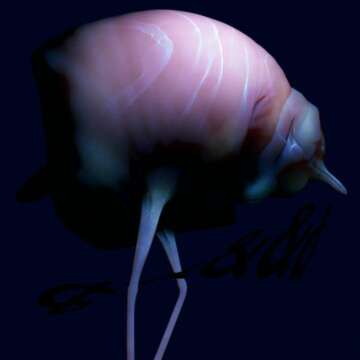 Descarga y escucha de forma gratuita un adelanto del próximo disco de Arca: "&&&&&"