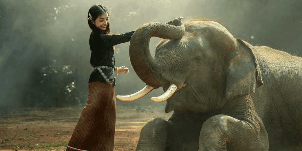 Cambodia prohibe turismo y el uso recreativo de Elefantes