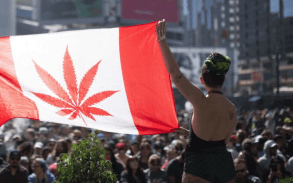 El senado canadiense votara por la legalización de la marihuana recreativa en todo el país