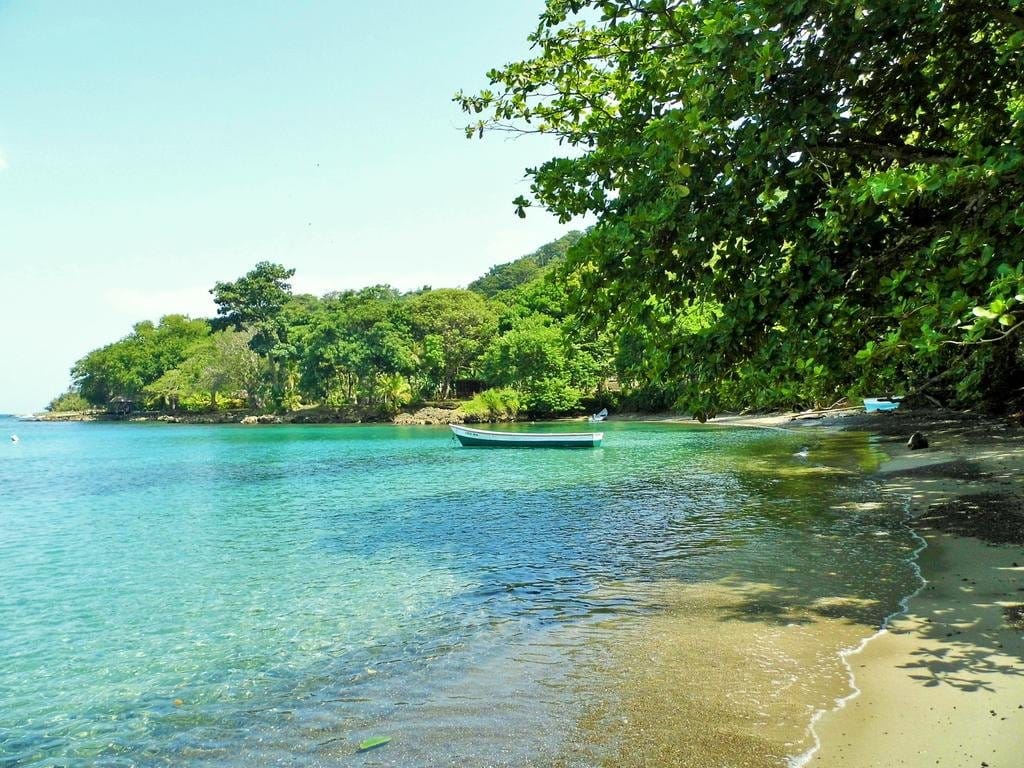 Quieren que el Darién chocoano sea declarado reserva de la biosfera por la Unesco