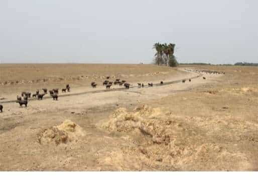 Petroleras deberán responder por la crisis ambiental en Casanare