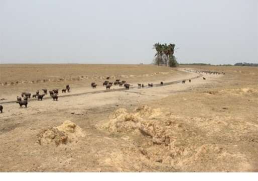 Petroleras deberán responder por la crisis ambiental en Casanare