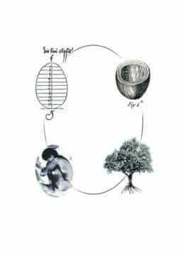 Puedes resucitar en un ÁRBOL cuando mueras.. si quieres..