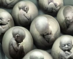 Matrix: NACEN LOS PRIMEROS BEBÉS TRANSGÉNICOS DEL MUNDO