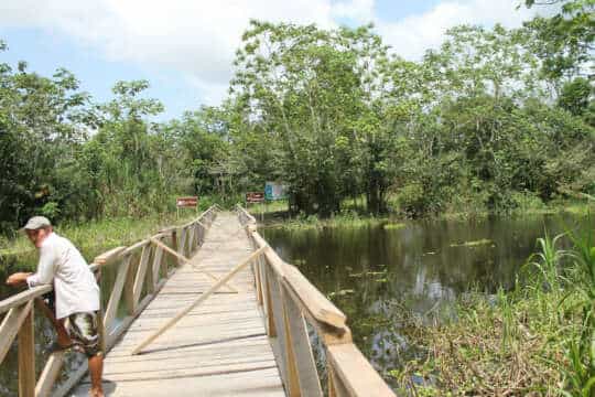 25 minutos diarios de caminata pueden alargar hasta 7 años de Vida