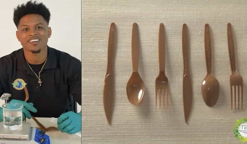 Descubre los primeros cubiertos desechables no plásticos hechos de cáñamo