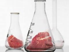 Carne Invitro: En el futuro se podra comer carne cultivada sin la necesidad de matar animales