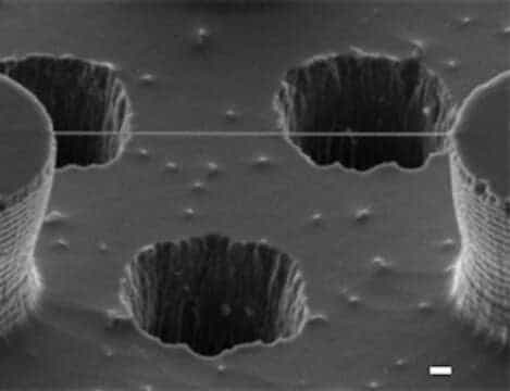 El “Karma” generacional existe: LA EPIGENÉTICA