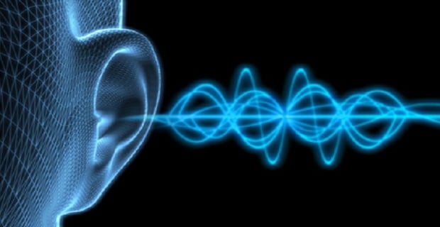 Si comprendiéramos el mundo a través del sonido: Ecolocalización