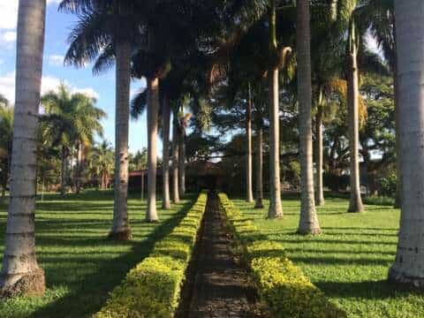 Ancestral Rhythm: Cartago resuena con un increíble Festival éste 1ro de Julio