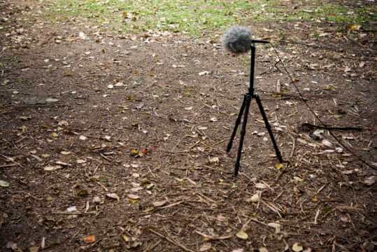 Día mundial de la escucha