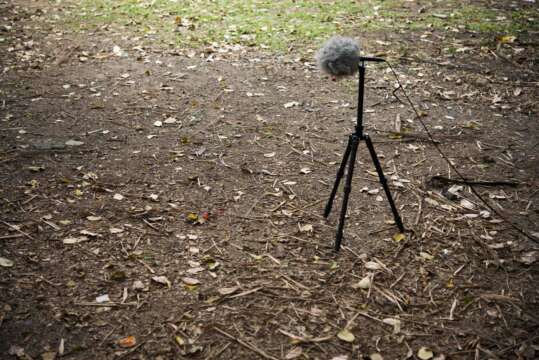 Día mundial de la escucha