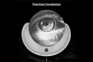 Function – Incubation, Release Party