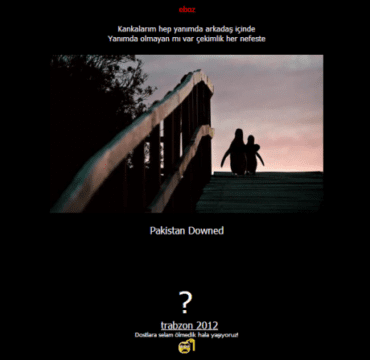 Los hackers turcos atacan Pakistán y sus dominios .pk incluyendo Microsoft, Apple, Google, Msn.