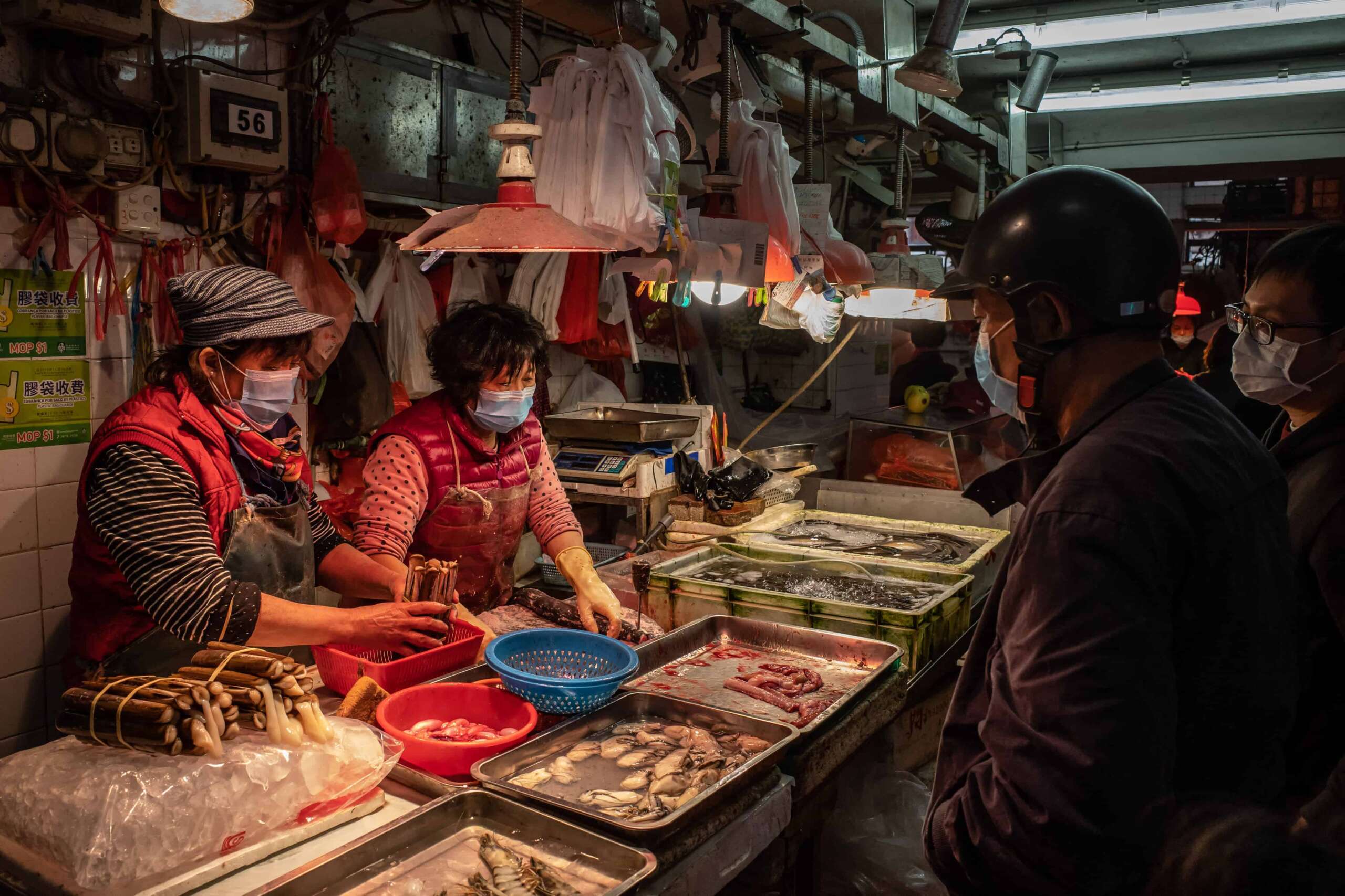 China dice que prohibirá el comercio de animales salvajes, como los murciélagos, que se cree que están detrás del coronavirus de Wuhan, y reforzará la supervisión de los “mercados húmedos”