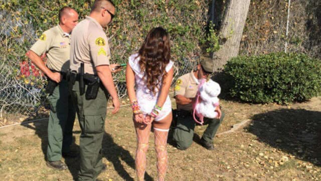 Más de 400 personas arrestadas en un Festival por posesión e influencia de Drogas, Exhibicionismo y Resistencia a la Autoridad.