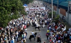 En Rionegro no se realizará la Cabalgata de la Feria de las Flores