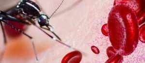 Se confirmó primer caso de Chikungunya en Colombia