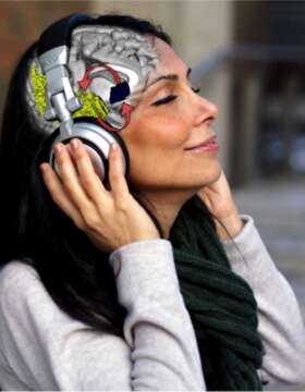 Cerebros que no sienten la musica