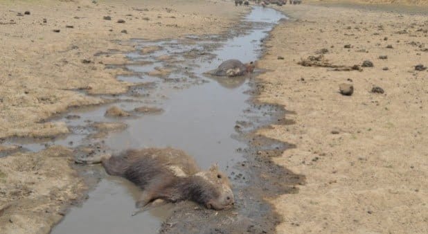 Más petróleo, menos agua