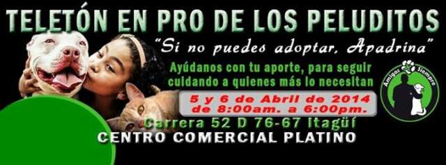 Este Sábado y Domingo Gran Teleton en pro de los animales sin un hogar (AMIGOS POR SIEMPRE Cl 59 55 b 24, Itagüi)