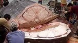 Fuerte oleaje daña un barco utilizado para evitar la caza de ballenas