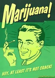 Ciencia/Humanos: El consumo de cannabis por adultos no provoca reducción de la inteligencia