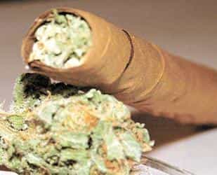 Australia: piden legalizar cannabis y éxtasis