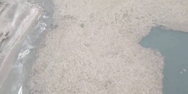 Alerta por la creciente isla de basura al frente de las playas del Caribe.