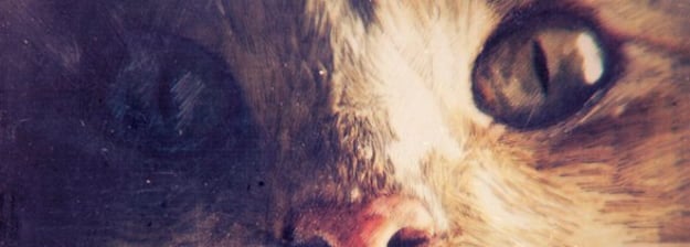 James Talk firma el nuevo Suara