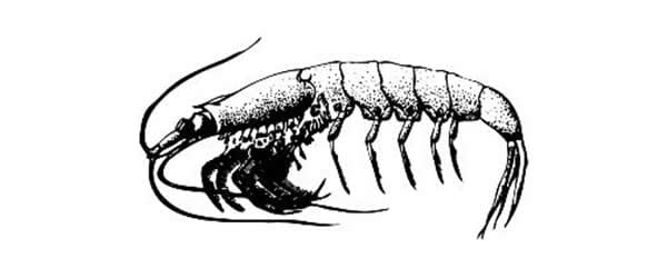 'Habitat' doble compilación en vinilo de Krill Music