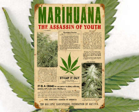 ¿Por qué es ilegal la marihuana? (Historia de la criminalización de una planta)