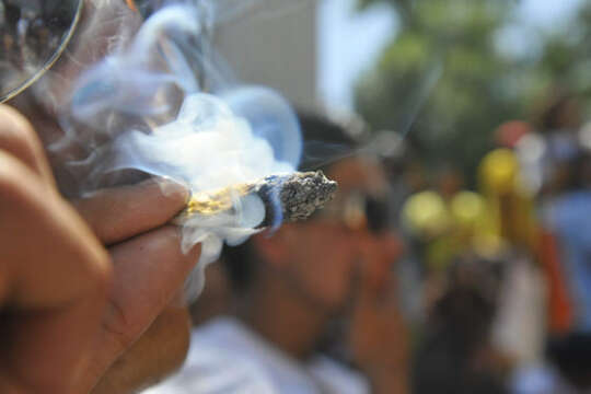 Fumar marihuana ocasionalmente no daña los pulmones