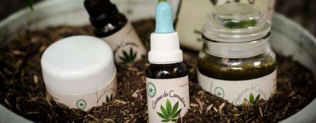 Tres noticias de actualidad sobre la marihuana ¡La ciencia se empeña en conocerla!