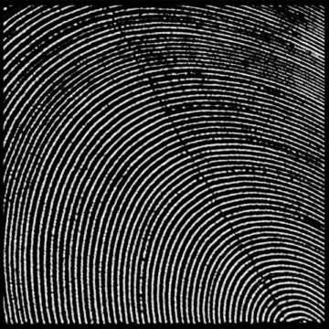 Metasplice – Infratracts, álbum debut del dúo; firmado por Morphine Records