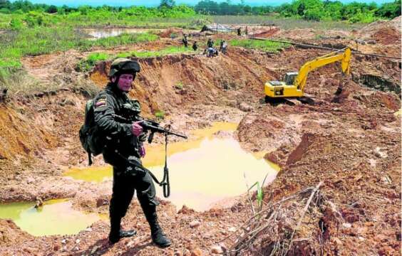 10 especies amenazadas por la minería ilegal en Colombia