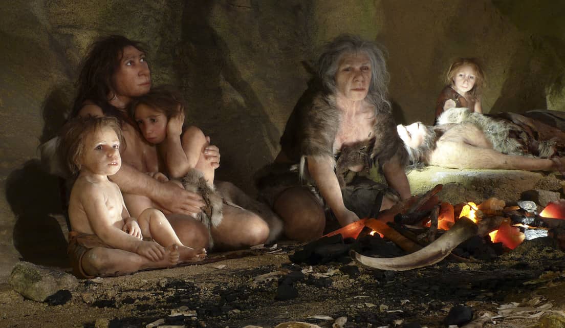 Los Neandertales NO comían solo carne como se cree