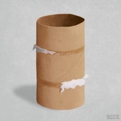 ¿Por qué Venezuela no tiene papel higiénico?