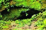 Amenaza petrolera sobre el bosque más biodiverso del planeta