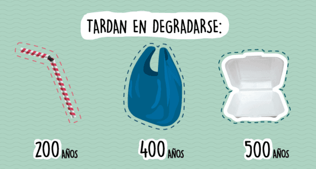 CES Poblado: La Primera Universidad en prohibir los Plásticos de un solo Uso