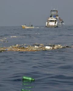 La basura tóxica del mar se sirve fría en su mesa