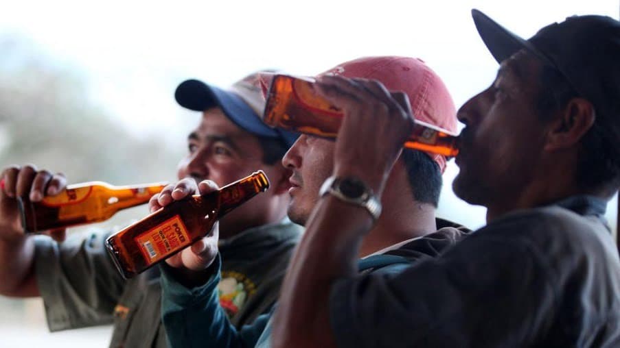 Confirmado, hasta una pola al día basta para reducir el volumen cerebral