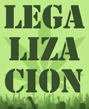 Se reabre debate institucional y social sobre la legalización de la Marihuana en Bolivia